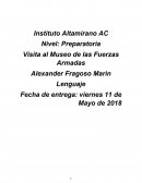 Visita al Museo de las Fuerzas Armadas