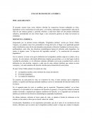 ENSAYO DE DOGMÁTICA JURIDICA