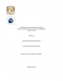 Reporte de visita al Museo de Tortura