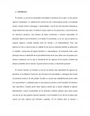 El turismo es una de las principales actividades económicas de un país