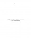 NORMATIVA PARA USO Y MANTENIMIENTO DE VEHÍCULOS Y ASIGNACION DE COMBUSTIBLE