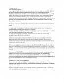 El Mundo del niño Años intermedios del niño