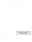 TALLER DE DIAGNOSTICO COMUNAL PARTICIPATIVO