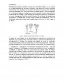 Biotecnologia vegetal