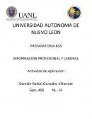 PREPARATORIA #18 INFORMACION PROFESIONAL Y LABORAL Actividad de Aplicacion
