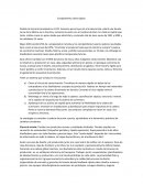 RESUMEN CASO ZARA. ATENCION ULTRA RAPIDA
