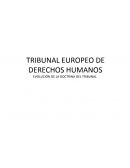 TRIBUNAL EUROPEO DE DERECHOS HUMANOS