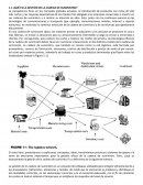 INTRODUCCION A LA GESTIÓN DE LA CADENA DE SUMINISTRO