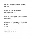 ¿Qué tipo de administración se aplica? Evidencia de aprendizaje: Juguetería entre