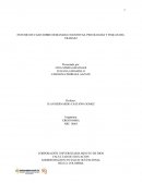 ESTUDIO DE CASO SOBRE DEMANDAS COGNITIVAS, PSICOLOGIAS Y FISICAS DEL TRABAJO