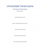 Ensayo 2: “Complejo orofacial, forma y función”