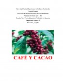 CAFÉ Y CACAO
