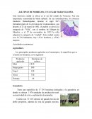 JALTIPAN DE MORELOS, UN LUGAR MARAVILLOSO