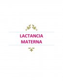 Lactancia materna. Anatomía y componentes