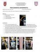 PRÁCTICA No 4 Charles- Gay Lussac