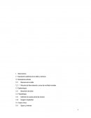 Anatomía de la rodilla y meniscos