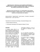 IDENTIFICACION Y PROTOCOLO DE PACIENTES HIPERTENSOS Y DIABÉTICOS EN LA CONSULTA ODONTOLÓGICA