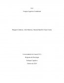 Terapia cognitivo conductual