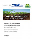 ENSAYO DE MICROBIOLOGÍA DEL SUELO