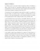 La Melipona beecheii