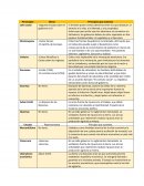 Actividad de adquisición Sociales 1 Etapa 2