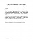 ENFERMEDADES CARDIOVASCULARES EN MÉXICO