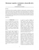 Hormonas vegetales: crecimiento y desarrollo de la planta