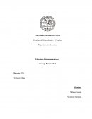 Literatura Hispanoamericana I Trabajo Práctico N° 1