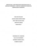 IDENTIFICACIÓN Y CARACTERIZACIÓN DE ESTRATEGIAS PARA LOS MERCADOS CAMPESINOS Y LA INICIATIVA CAMPESINA DE PRODUCCIÓN AGROECOLÓGICA EL MANANTIAL