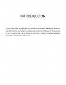 LA MALDICION DE SER NIÑA