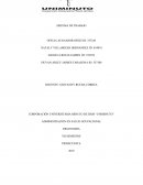 Sistema de trabajo ergonomìa
