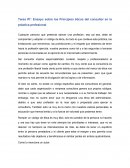 Principios éticos del Consultor en la practica profesional