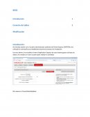 Base de Datos. Creación de tabla