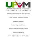 PSICOANALISIS PARA PRINCIPIANTES