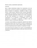 Estructura, proceso y comportamiento organizacional