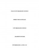 ENSAYO ANALISIS DE COSTOS