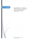 Cuándo y cómo obtienen Capital las empresas y cálculo Beta