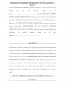 PATRIMONIO DE INMUEBLE DISTRIBUIDORA DE PAN DANPAN S.C. de C.V