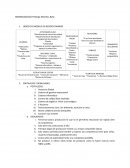 LIENZO DE MODELO DE NEGOCIO MANGO