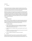 Trabajo de informacion. El shampoo