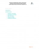 Ensayo calidad Toyota