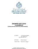 INFORME EJECUTIVO “CASAIDEAS”