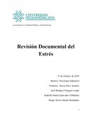 Psicología Industrial , Conceptos y características