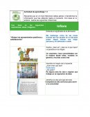 Inferencia. “Abrazo los pensamientos positivos y satisfactorios”