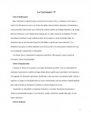 Las 5 principales “S”