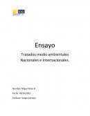Tratados medio ambientales Nacionales e Internacionales