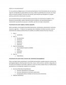 Apuntes Neorufisiología