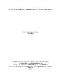 LA WEB COMO APORTE AL CONOCIMIENTO DEL TECNICO PROFESIONAL. Página 1