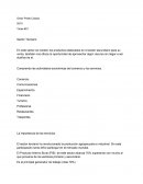 Sector Terciario. La importancia de los servicios