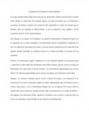 La guardia de la Emperatriz Carlota Hipotesis
